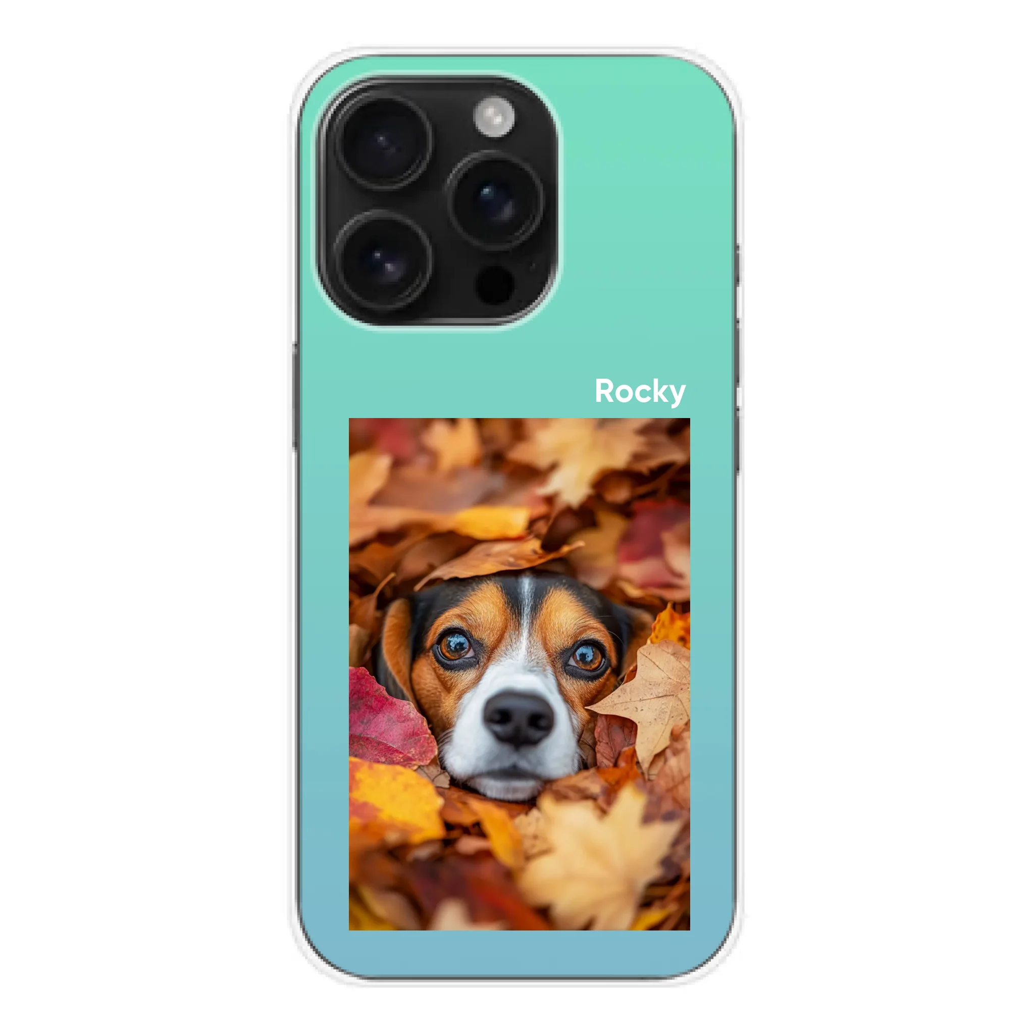 iphone_16_pro_capa_100