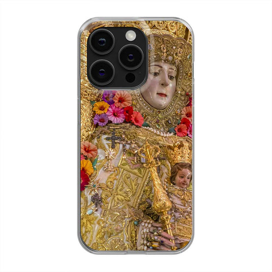 Funda Virgen del Rocio 5
